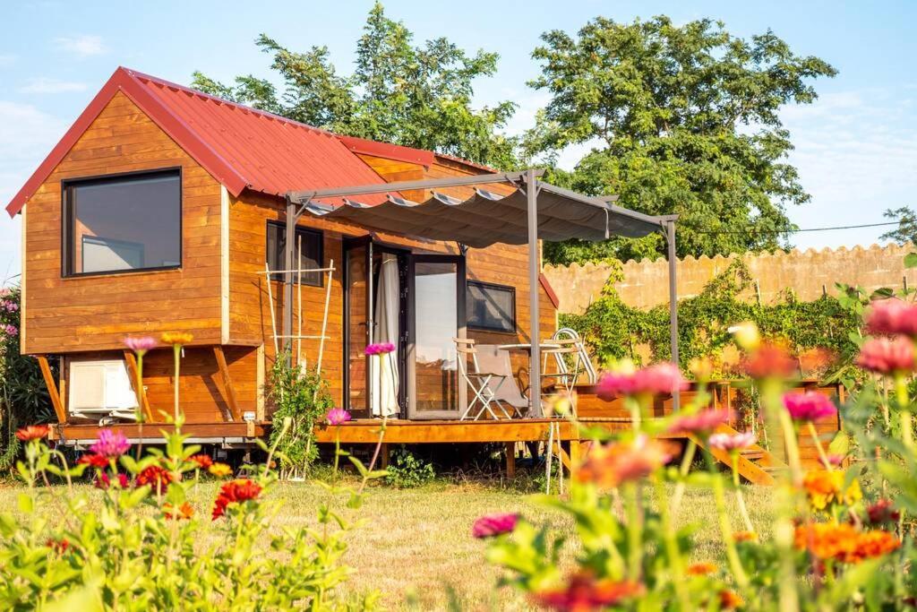 Myinsolite - Tiny-House, Jacuzzi, Brasero, Piscine Эг-Морт Экстерьер фото